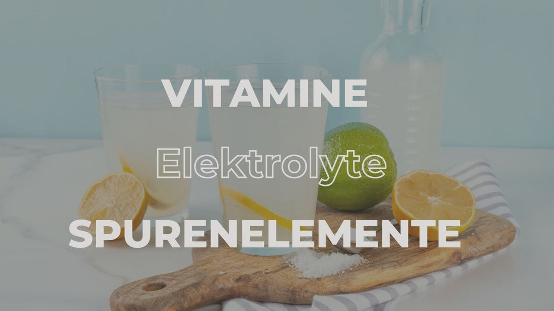 Illustration zu Vitaminen, Elektrolyten und Spurenelementen mit einem Glas Wasser, Zitronen, Limette und Salz als Symbol für Nährstoffe und Mineralstoffe.