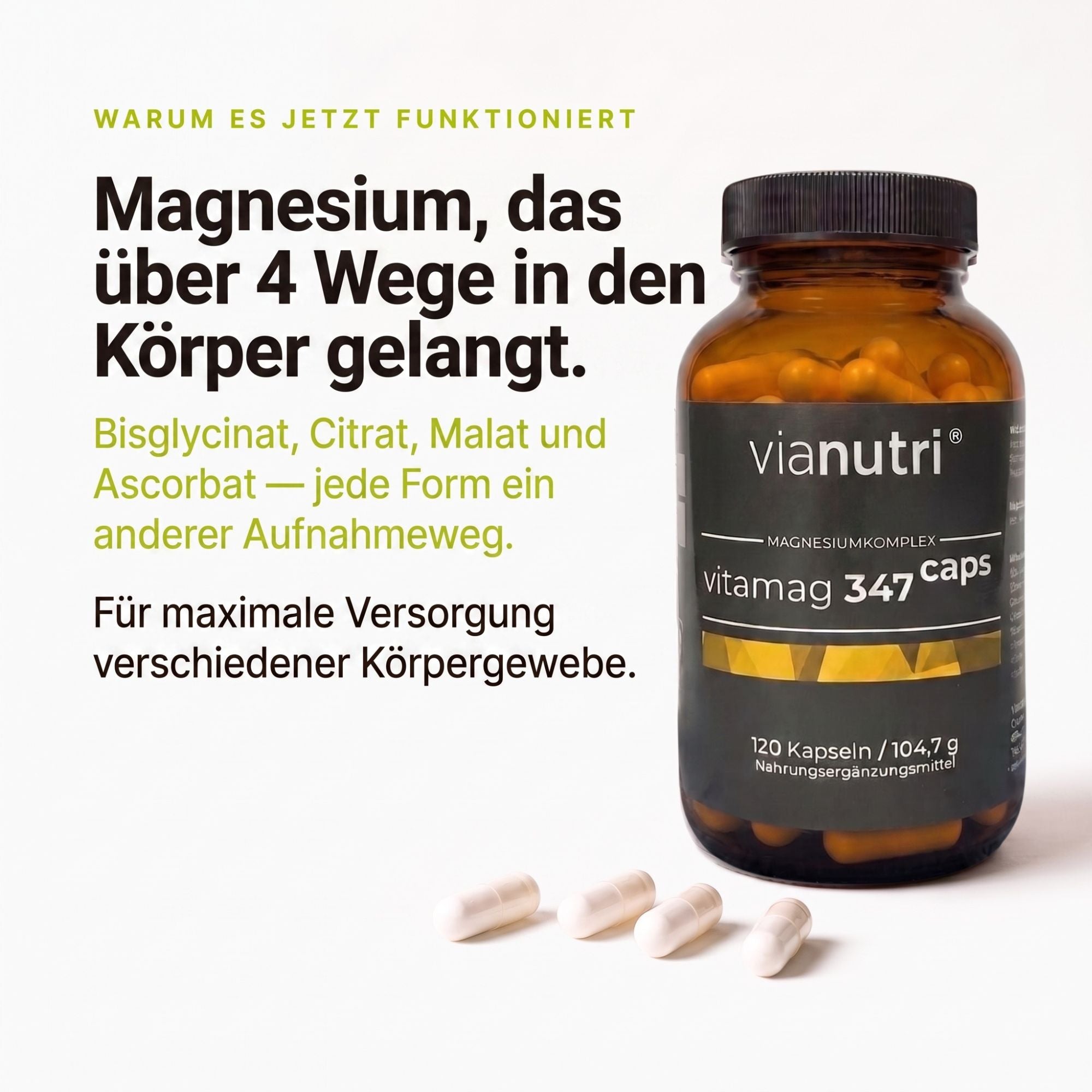 vitamag 347 caps