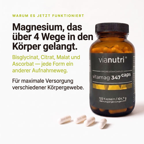 vitamag 347 caps