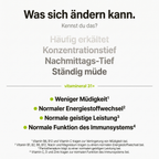 vitamineral 31 plus