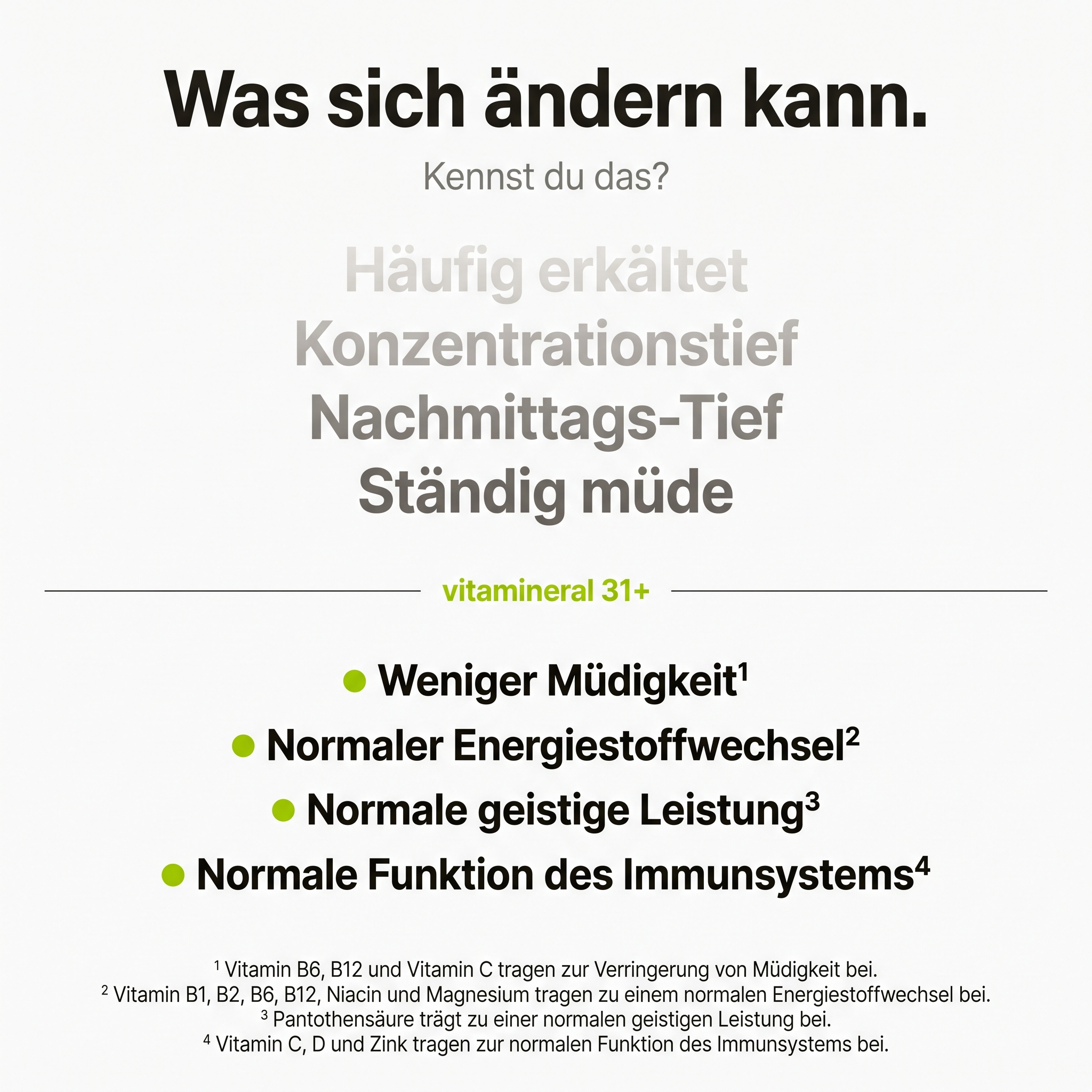 vitamineral 31 plus